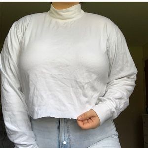 Cropped turtleneck